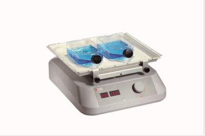 大龙兴创LED数显线性摇床SK-L180-S